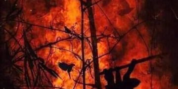 The Amazon is burning