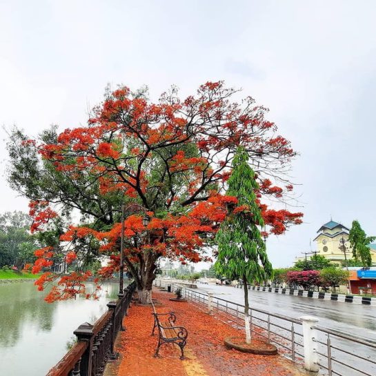 Imphal India