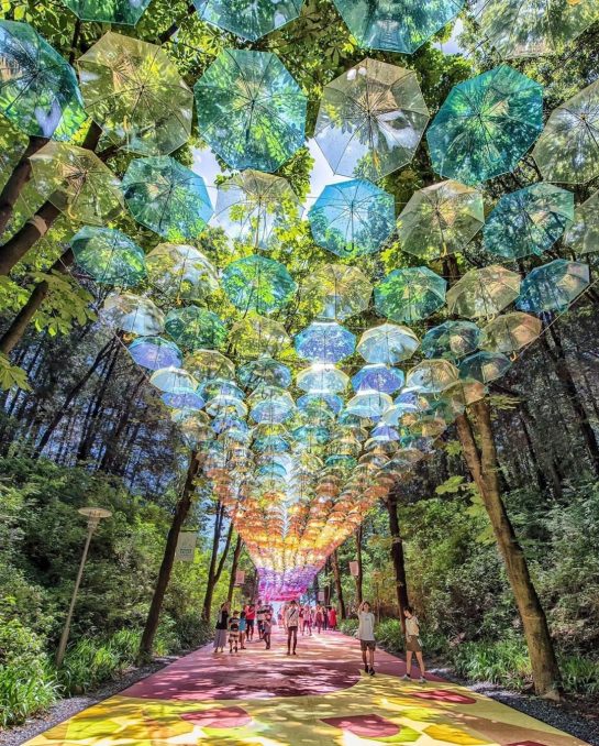 1000 umbrellas in Moomin Valley Park, Japan