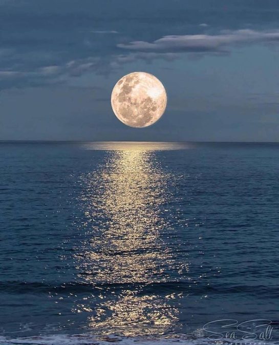 Moonlight shadow in Sydney, Australia
