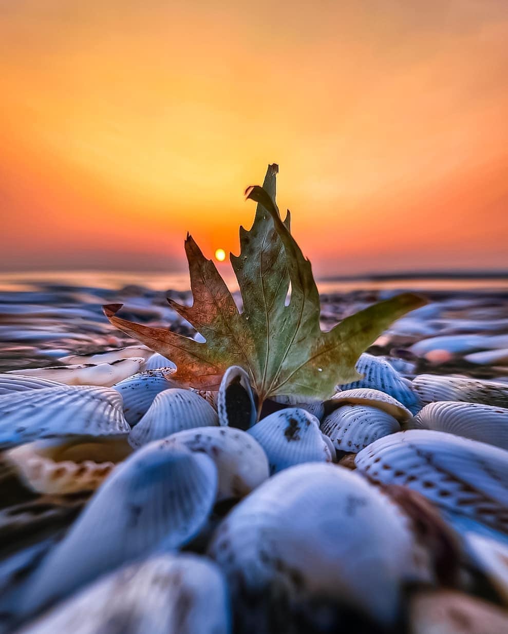 Samsun, Turkey