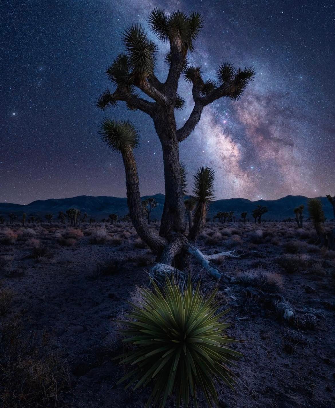 Death Valley National Park, California