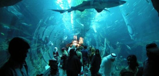 How do you spend your time in Dubai