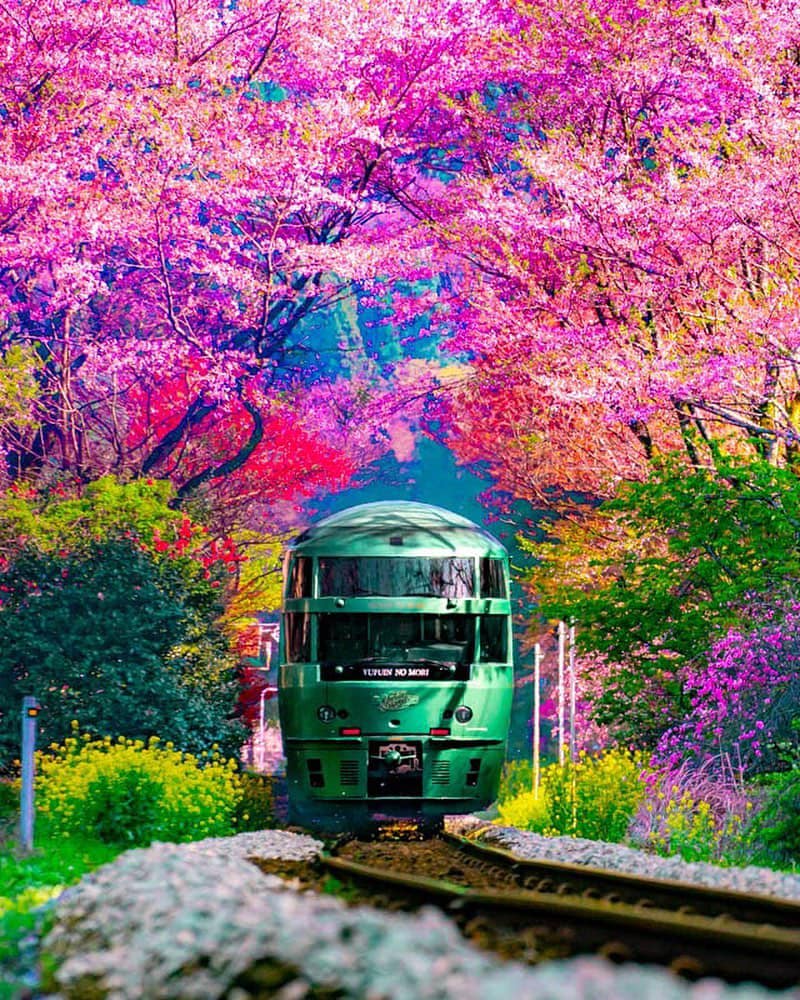 Train in Oito Station, Japan