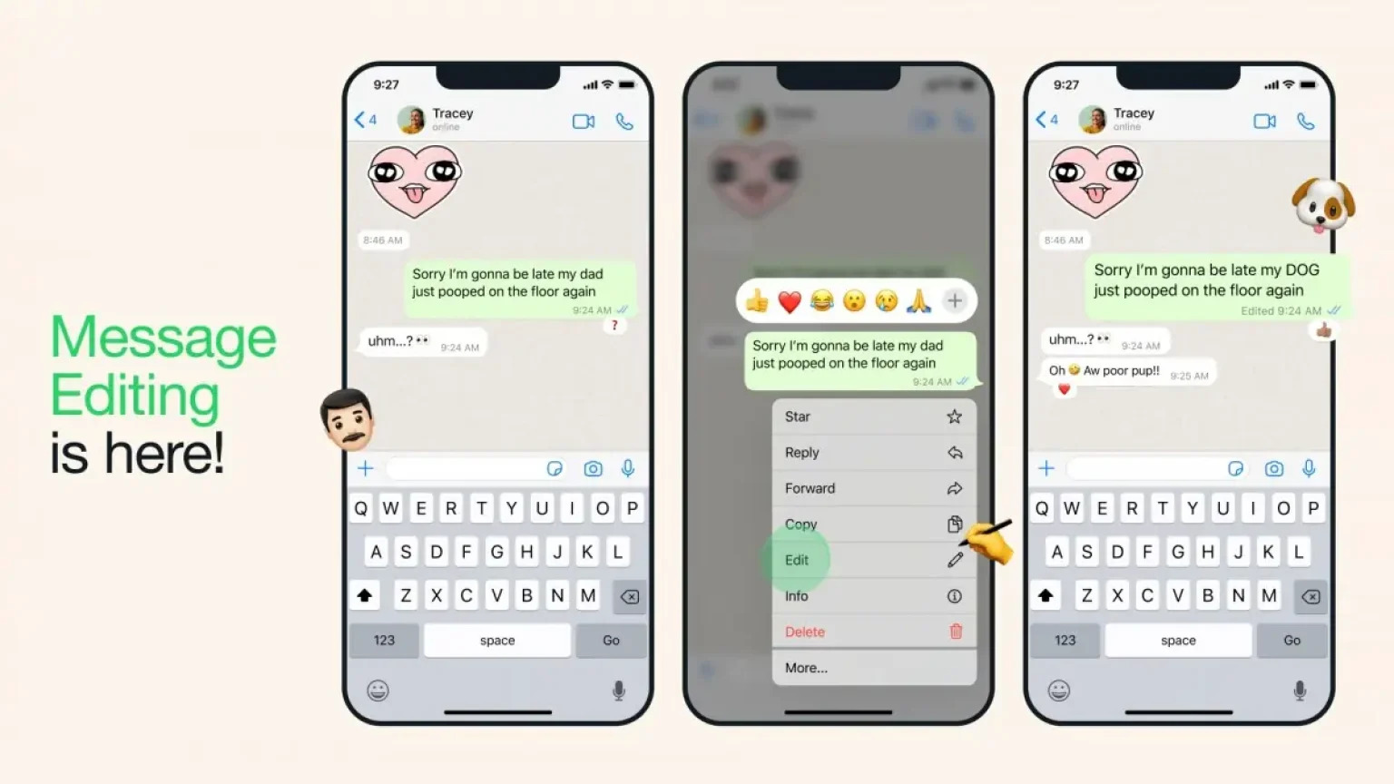 whatsapp Message Modification